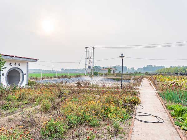 華苑觀光農(nóng)場