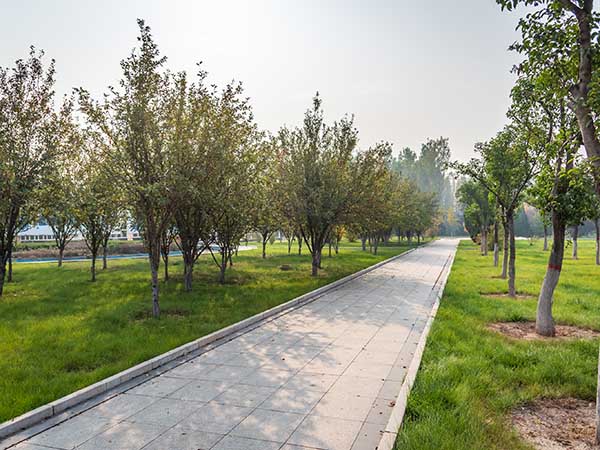 汶上縣城市四角綠地綠程