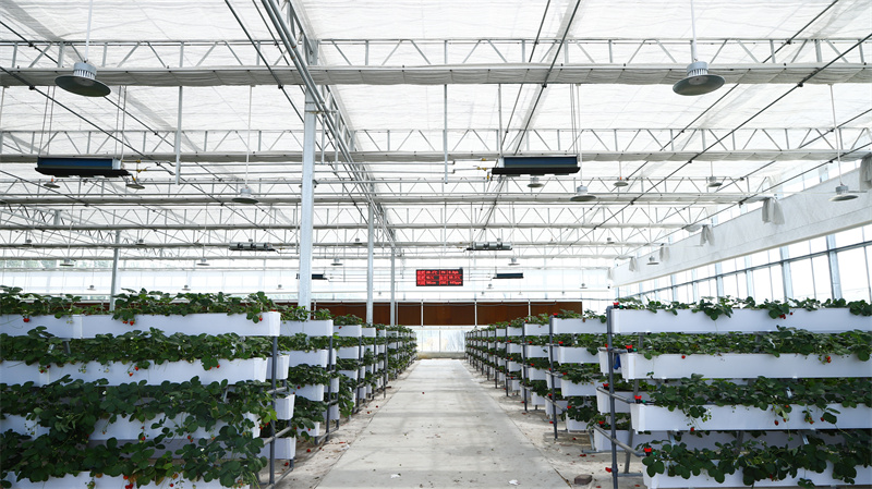 現(xiàn)代農(nóng)業(yè)