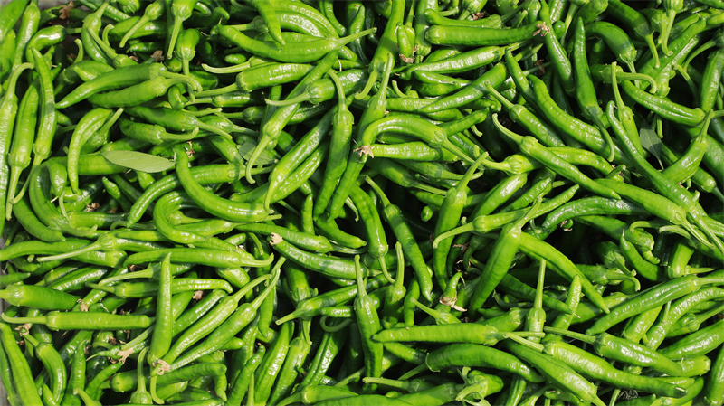 現(xiàn)代農業(yè)