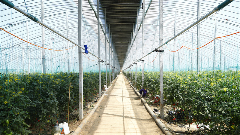 現(xiàn)代農業(yè)