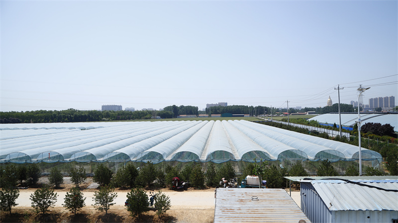 現(xiàn)代農業(yè)