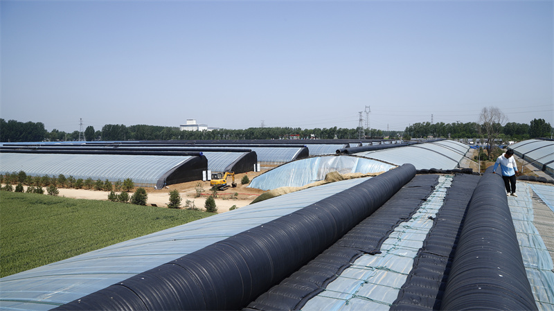 現(xiàn)代農業(yè)