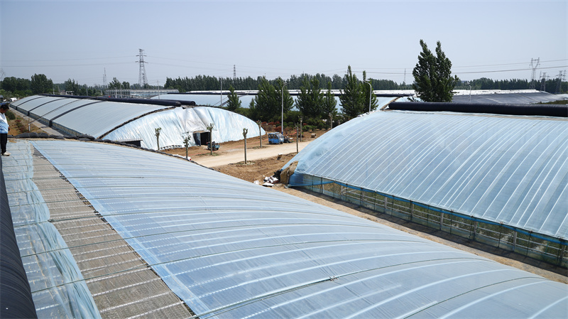 現(xiàn)代農(nóng)業(yè)