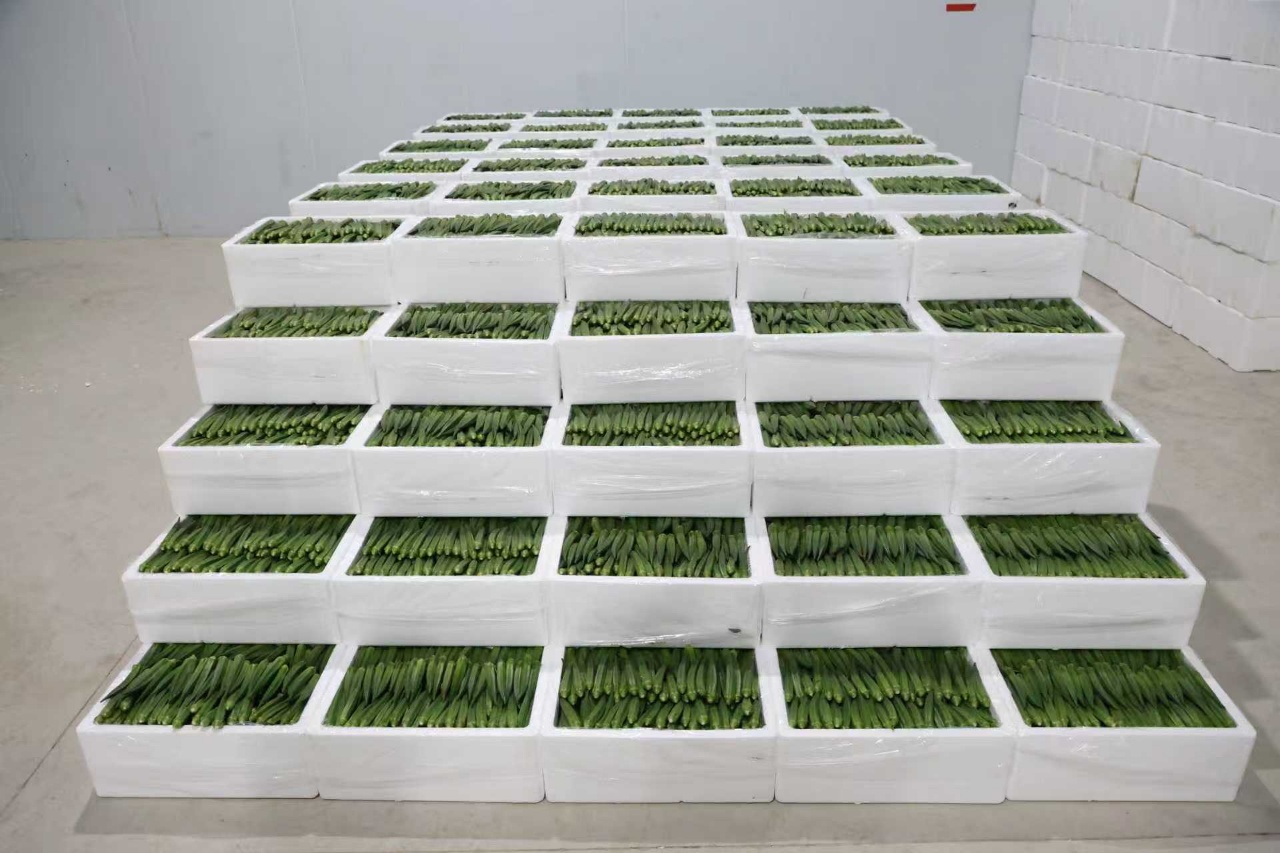 華翔農(nóng)場秋葵倉儲